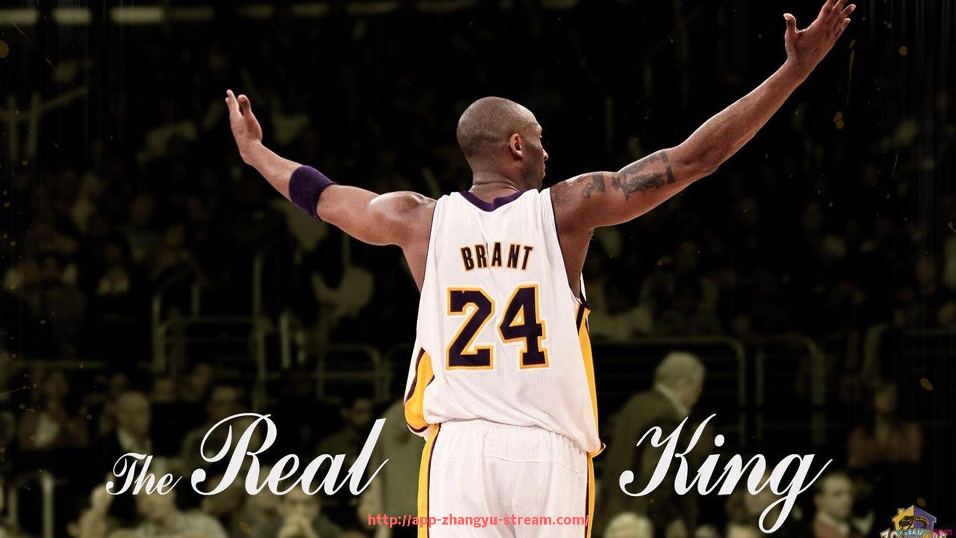 章鱼直播-湖人和火箭队的历次交锋视频资源大全