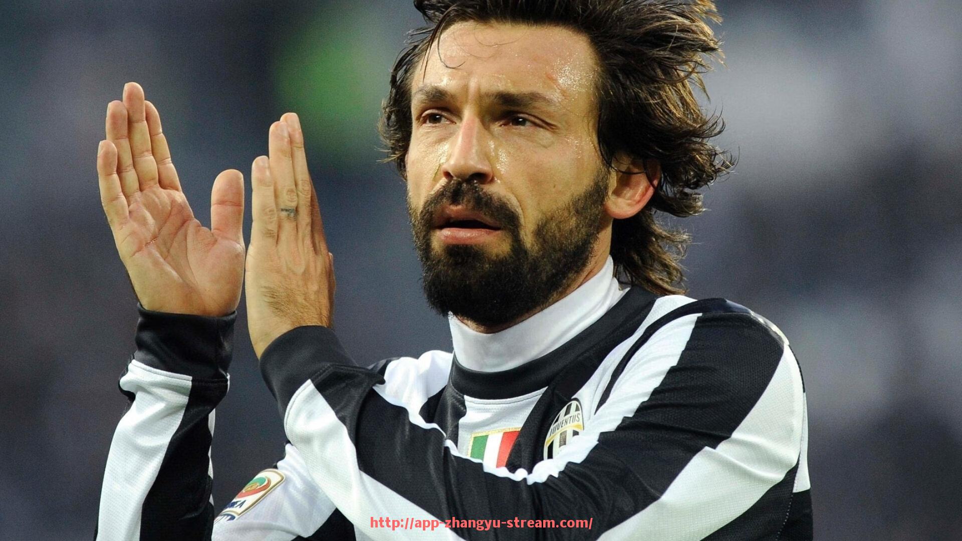 章鱼直播-德甲绣星球队:解析获得绣星的德甲球队及其荣誉