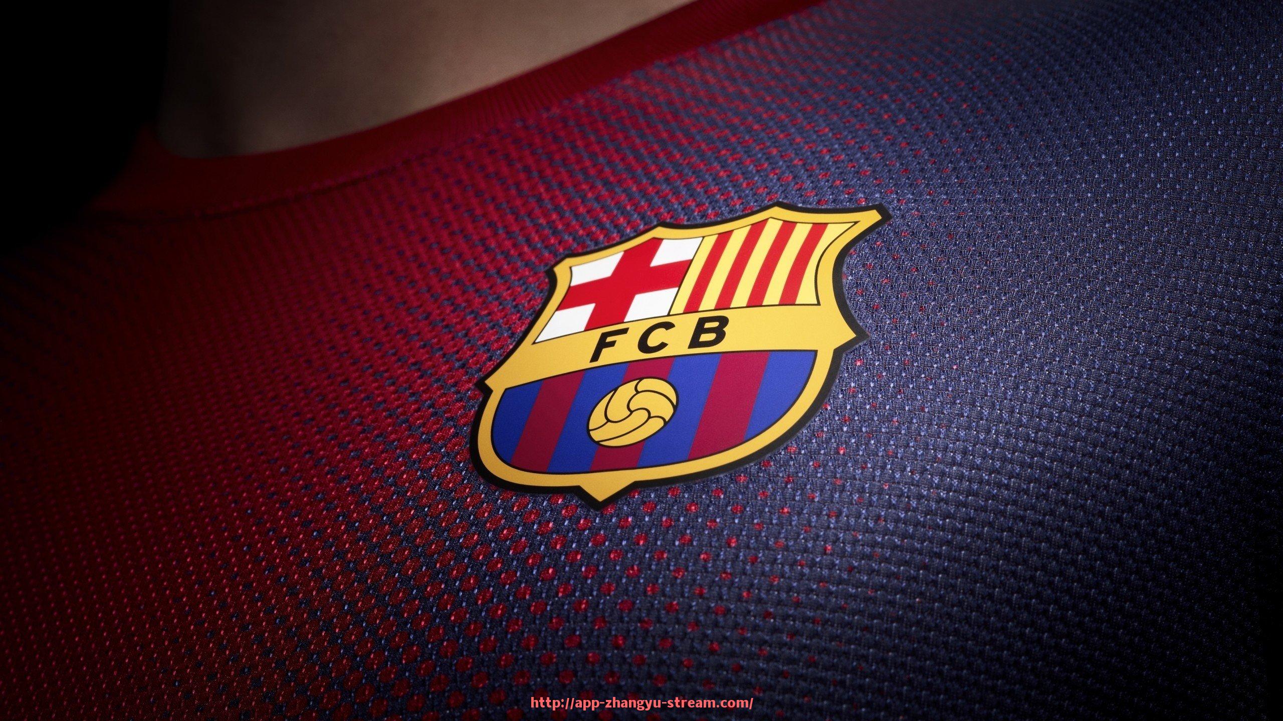 章鱼直播-形容德甲球队的专业词语汇总及应用