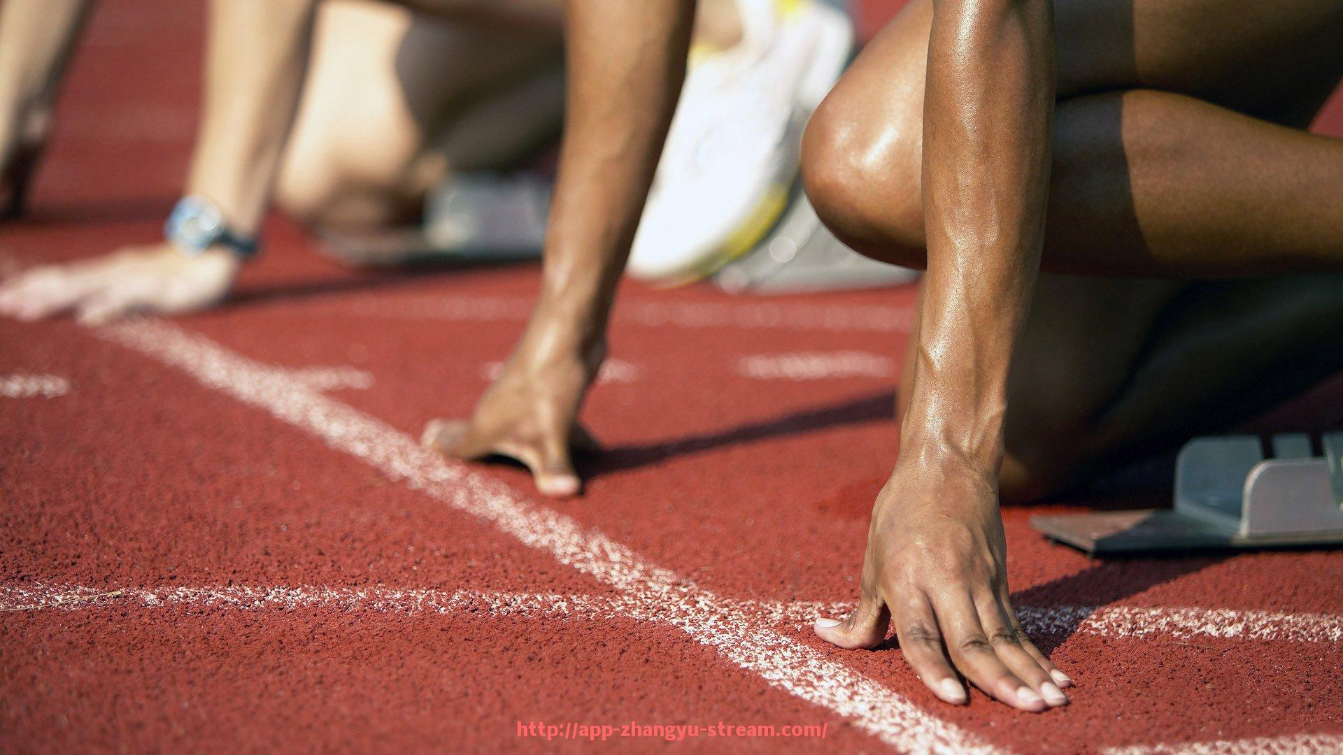 章鱼直播-世俱杯赛事音乐BGM热门榜单整理与播放热度排名