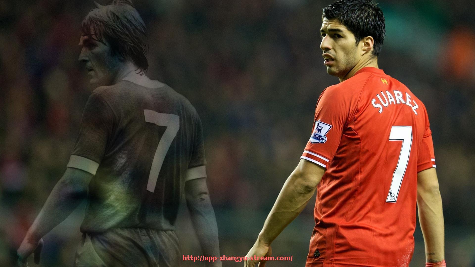 章鱼直播-健身器材价格与利润空间分析：从生产到终端销售